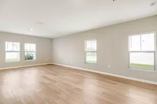 12932 Wellspring Dr, Lithia, FL 33547 - Photo 3