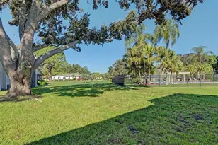 492 Lakeview Dr, Palm Harbor, FL 34683 - Photo 37