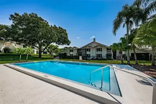 492 Lakeview Dr, Palm Harbor, FL 34683 - Photo 47
