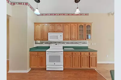 14915 Devonshire Woods Place, Tampa, FL 33624 - Photo 19
