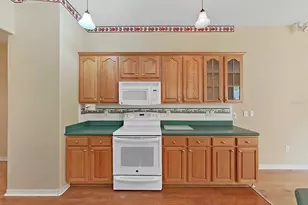 14915 Devonshire Woods Pl, Tampa, FL 33624 - Photo 19