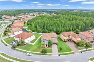 19265 Umberland, Land O Lakes, FL 34638 - Photo 39