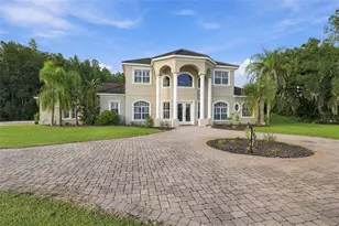 19153 Geraci Rd, Lutz, FL 33558 - Photo 5