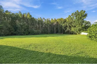19153 Geraci Road, Lutz, FL 33558 - Photo 53