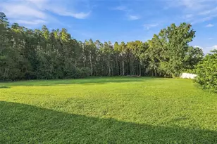 19153 Geraci Rd, Lutz, FL 33558 - Photo 53