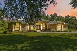 6910 Charles Humphrey Rd, Plant City, FL 33565 - Photo 1
