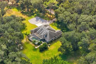 6910 Charles Humphrey Rd, Plant City, FL 33565 - Photo 41
