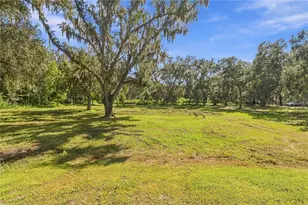 6910 Charles Humphrey Rd, Plant City, FL 33565 - Photo 39