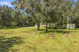 6910 Charles Humphrey Rd, Plant City, FL 33565 - Photo 43