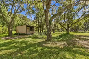 6910 Charles Humphrey Rd, Plant City, FL 33565 - Photo 37