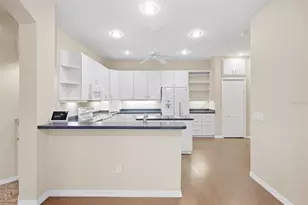 19149 Lake Audubon Dr, Tampa, FL 33647 - Photo 13