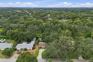 8010 Sharon Dr, Tampa, FL 33617 - Photo 53