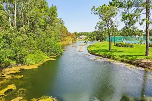 11508 Bloomington Ct, New Port Richey, FL 34654 - Photo 61