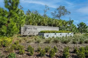 5487 Blue Azure Dr, Wimauma, FL 33598 - Photo 57