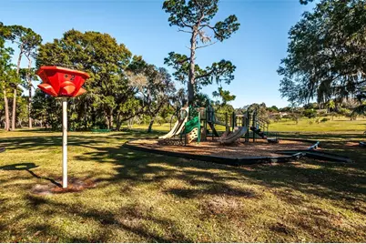 520 Sandy Hook Road, Palm Harbor, FL 34683 - Photo 61