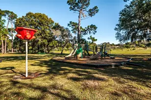 520 Sandy Hook Rd, Palm Harbor, FL 34683 - Photo 61