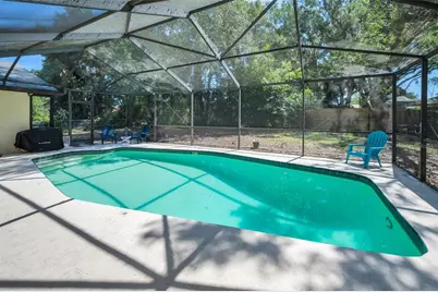 520 Sandy Hook Road, Palm Harbor, FL 34683 - Photo 37
