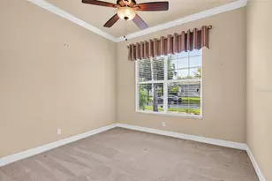 15910 Golden Lakes Drive, Wimauma, FL 33598 - Photo 21