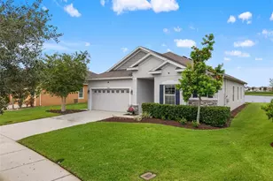 8232 Olive Brook Dr, Wesley Chapel, FL 33545 - Photo 63