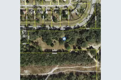 13055 Morris Bridge Road, Thonotosassa, FL 33592 - Photo 1