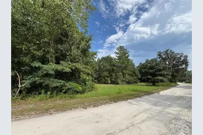 Unassigned, Fort Mc Coy, FL 32134 - Photo 3