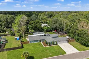19908 Jodi Dr, Lutz, FL 33558 - Photo 53
