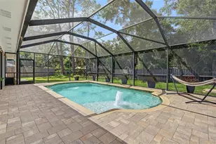 19908 Jodi Dr, Lutz, FL 33558 - Photo 41