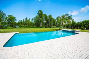 12941 Bellerive Dr, Clermont, FL 34711 - Photo 25
