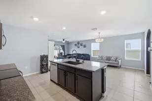 17063 Oval Rum Dr, Wimauma, FL 33598 - Photo 7