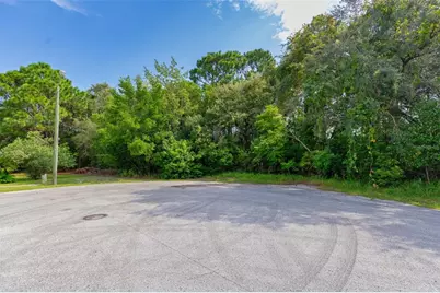 . Lakeview Court, Spring Hill, FL 34608 - Photo 3