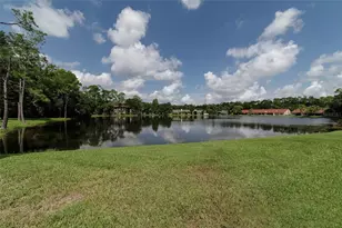 3399 Mermoor Dr, Palm Harbor, FL 34685 - Photo 29