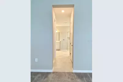 33879 Astoria Cir, Wesley Chapel, FL 33545 - Photo 41