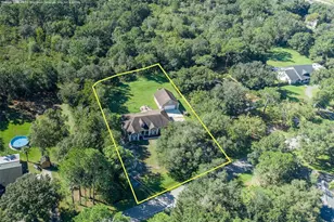 31524 Cross Creek Ln, Wesley Chapel, FL 33543 - Photo 3