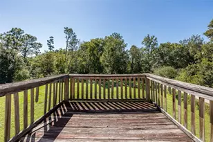 31524 Cross Creek Ln, Wesley Chapel, FL 33543 - Photo 49