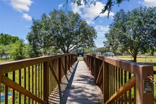 3306 Nakora Dr, Tampa, FL 33618 - Photo 49