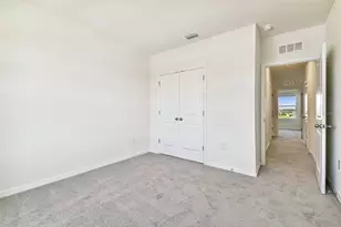 2774 Common Fig Run, Wesley Chapel, FL 33543 - Photo 31
