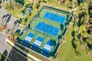 8103 Sanguinelli Rd, Land O Lakes, FL 34637 - Photo 49
