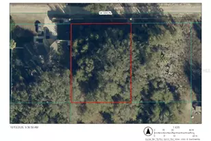 Tbd SE 143rd Pl, Summerfield, FL 34491 - Photo 1