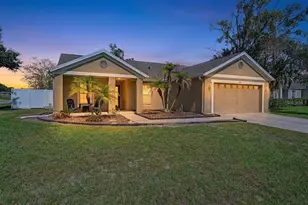 5809 Black Walnut Ct, Tampa, FL 33625 - Photo 1