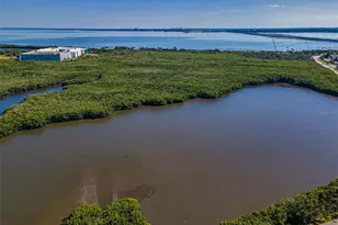 420 N Bayshore Blvd, Clearwater, FL 33759 - Photo 63