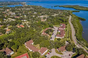420 N Bayshore Blvd, Clearwater, FL 33759 - Photo 7