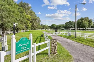 3180 Lake Saxon Dr, Land O Lakes, FL 34639 - Photo 67