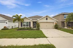 16739 Sunburst Lake St, Wimauma, FL 33598 - Photo 1