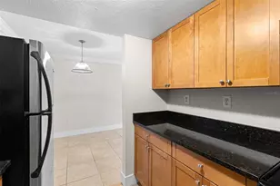 5221 Bayshore Blvd, Tampa, FL 33611 - Photo 33