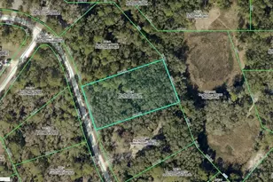 10497 Yellowlegs Ave, Weeki Wachee, FL 34614 - Photo 1