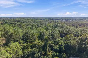 21916 Waverly Shores Ln, Land O Lakes, FL 34637 - Photo 61
