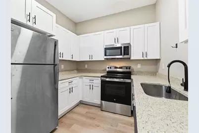 1740 W Cherry Street, Tampa, FL 33607 - Photo 3