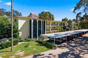 821 Deleon Ct, Dunedin, FL 34698 - Photo 49
