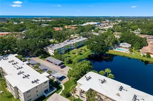 821 Deleon Ct, Dunedin, FL 34698 - Photo 41
