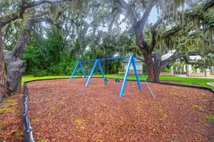 15714 Ibisridge Dr, Lithia, FL 33547 - Photo 47